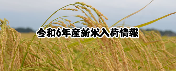 令和6年産新米入荷情報